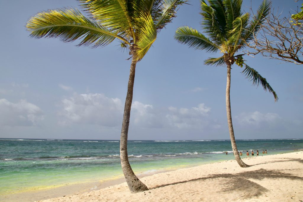 Secrets d'escales - L'îlet du Gosier en catamaran de location